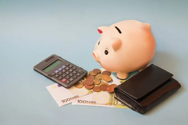 Piggy bank with euro banknotes and coins,  purse and calculator on blue background.