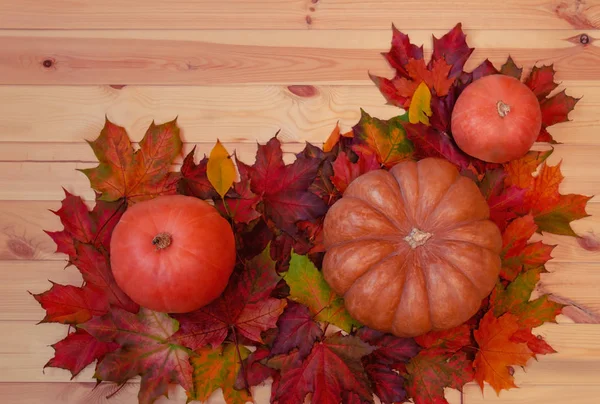Thanksgiving samenstelling: pompoenen en herfst Maple bladeren op houten achtergrond. — Stockfoto