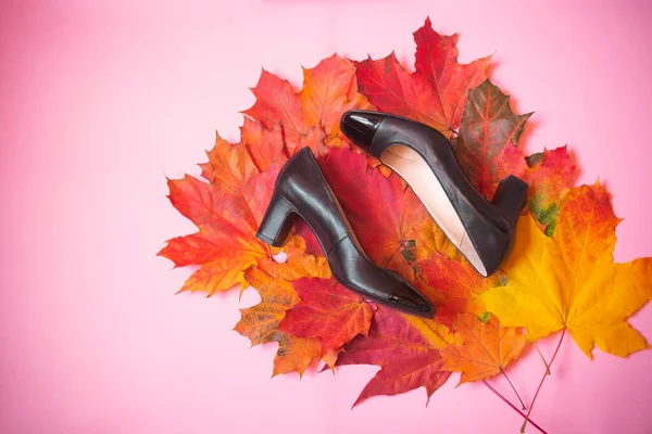 Women's shoes on colorful autumn leaves on pink background. Autumn shoes sales concept. Top view, copy space.