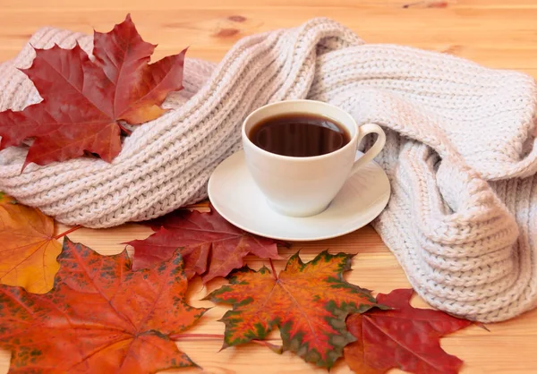 一杯热咖啡 灰色围巾和五彩缤纷的秋天枫叶放在木制桌子上 有选择地关注杯子 — 图库照片