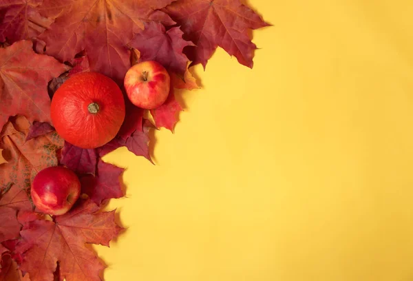 Bordure Faite Feuilles Érable Automne Colorées Citrouille Pommes Sur Fond — Photo