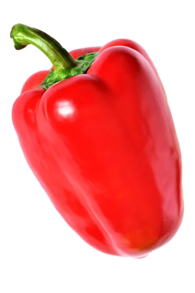 Pimiento rojo aislado sobre fondo blanco. — Foto de Stock