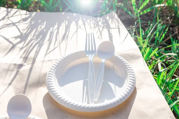 disposable biodegradable tableware on a picnic in nature. spoon, fork, plate of corn starch. green grass on the background and bright flare. modern biomaterials.