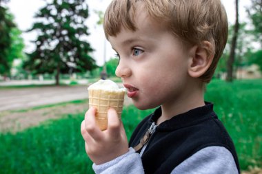Üç yaşında bir çocuk parkta waffle bardağında dondurma yiyor. En sevdiğin yemekle yaz yürüyüşleri. abur cubur yakın plan