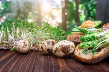 Avokado ve mikroyeşillikli sandviçler, ahşap arka planda bıldırcın yumurtaları. Sağlıklı beslenme. Kahvaltı hazırlama süreci.