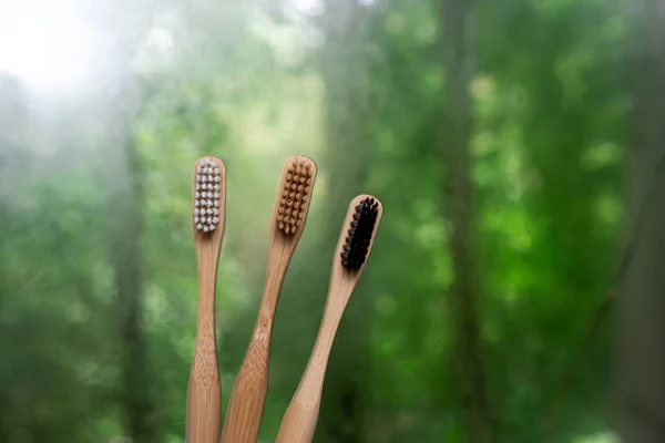 Yeşil Arka Planda Bambu Diş Fırçasına Yakın Plan Çevre Dostu — Stok fotoğraf