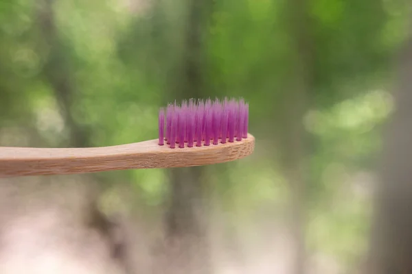 Bamboo Toothbrushes Close Nature Background Green Bokeh Biodegradable Materials Eco — Stock Photo, Image