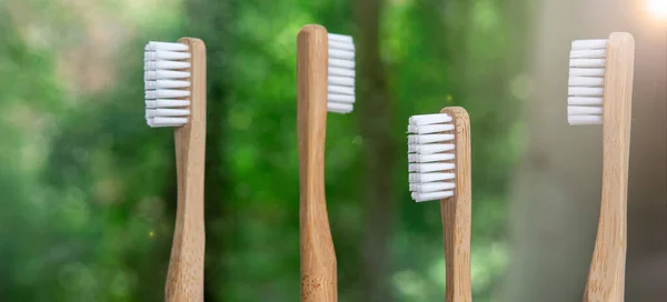 Bamboo Toothbrushes Close Nature Background Green Bokeh Biodegradable Materials Eco — Stock Photo, Image