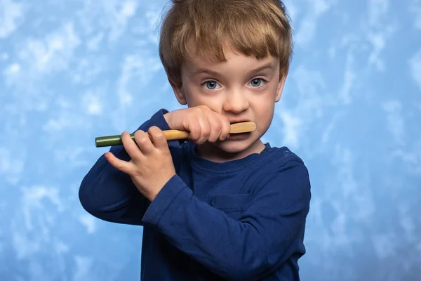 Yaşındaki Küçük Bir Çocuk Bambu Bir Diş Fırçasıyla Dişlerini Fırçalıyor — Stok fotoğraf