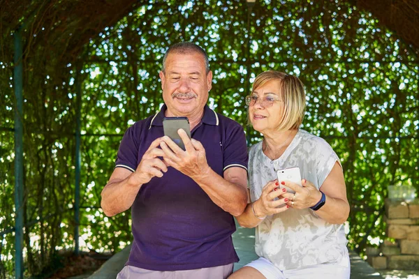 Senior couple using a mobile phone for finding some online in a natural and green location - Concept of active elderly and interaction with new technologies Stock Photo
