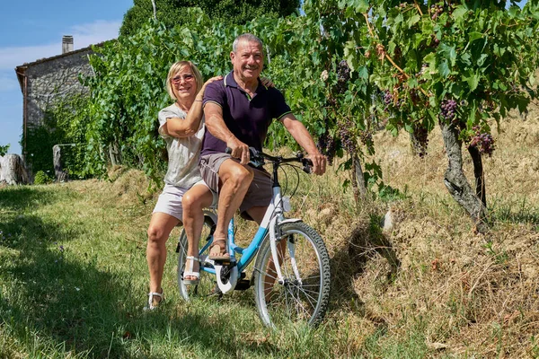 Senior couple ride the same bike for a little trip inside rows of the vineyard - Concept of active elderly and interaction with sport and bike Stock Image
