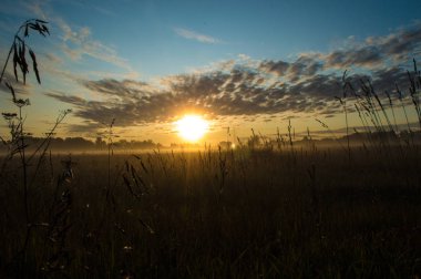 Şafak çayır üzerinde