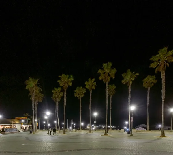 Huntington Beach Palm Trees Noite — Fotografia de Stock