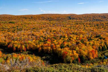Kirpi Dağları Düşüyor
