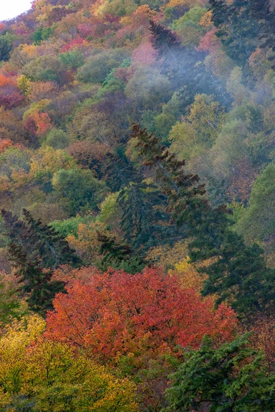 Nebliger nachmittag auf der oberen halbinsel michigan während der fa — Stockfoto