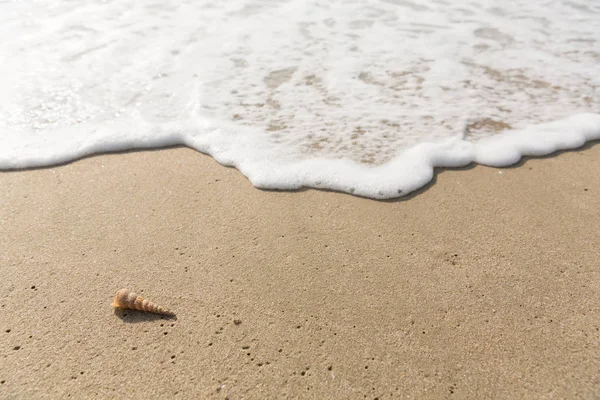 Sea Wave bubbla och skal på ren sandstrand — Stockfoto