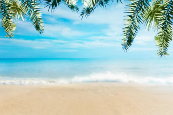 Летний Морской Пляж Сливой Кокосовым Деревом Размытый Фон — стоковое фото