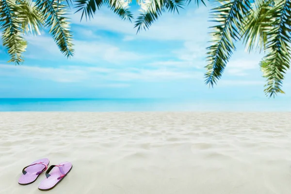 Летний Пляж Сандалиями Пальмами Кокосовым Деревом Размытый Фон Летние Каникулы — стоковое фото