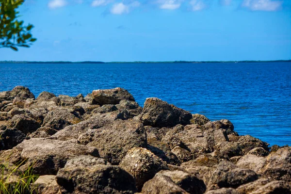 Utsikt Över Mexikanska Golfen Från Naturkusten Centrala Florida — Stockfoto