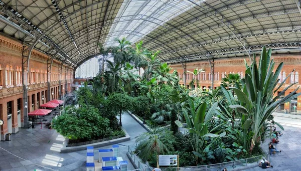 Julho 2020 Panorâmica Plaza Cibeles — Fotografia de Stock