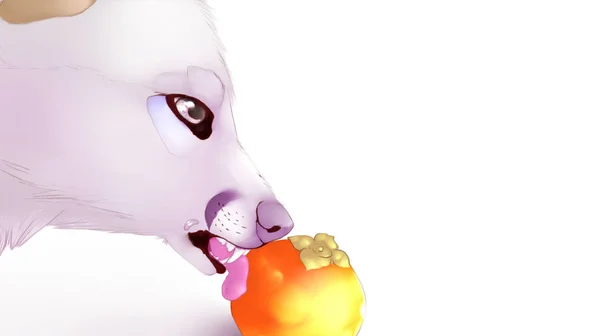 Wolf Licks Peach — 图库照片