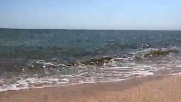 Timelapse Vídeo Con Paisaje Marino Mar Azov Ucrania Salpicando Las — Vídeo de stock