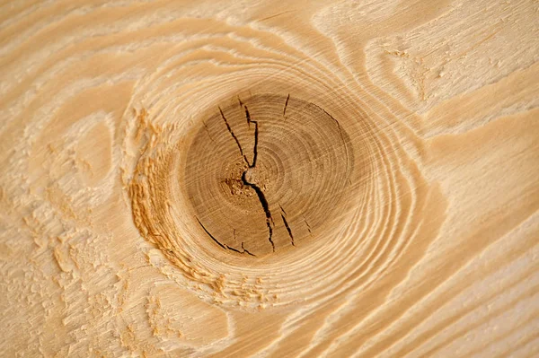 Texture Fractured Wood Macro Background — Stock Photo, Image