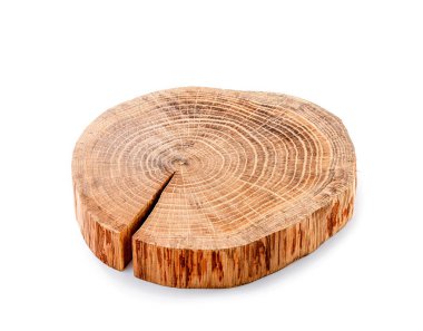 kırık ağaç gövdesi beyaz arka plan üzerinde izole yıllık halkalar yakın çekim ile kesiti 