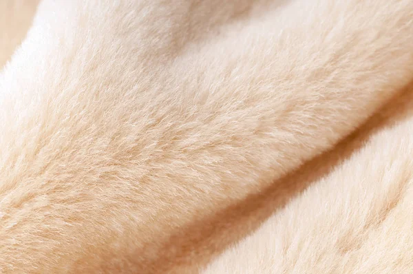 Natural Dressed Beige Sheepskin Fur Texture Close Beautiful Folds Background — Stock Photo, Image