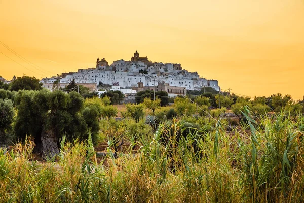 Locorotondo - Bari, Apulia, İtalya, Europe