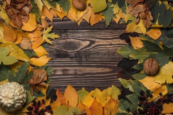 Frame of autumn leaves on the boards of dark brown wood. Many leaves of different colors lie on each other forming a square-shaped frame with boards inside. On the leaves is also a small white pumpkin and walnut.