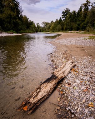 AARE Nehri, bir sonbahar günü, İsviçre yakınlarında.