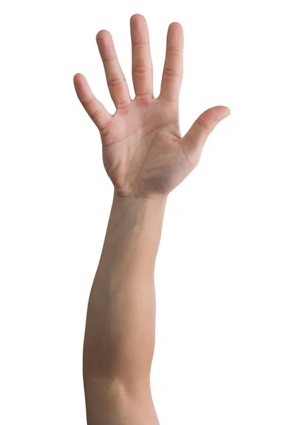 Рука людини, що показує п'ять пальців ізольовані на білому тлі з відсічним контуром . — стокове фото