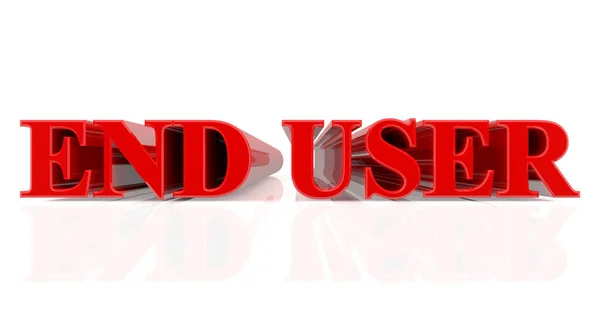 Palabra USUARIO FIN 3D sobre fondo blanco 3d renderizado — Foto de Stock