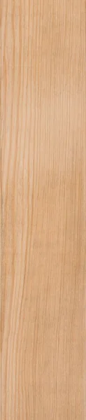 松の木のテクスチャ背景 — ストック写真