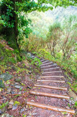 Levada Caldeiro do verde ve Caldeiro Inferno, Madeira Adası
