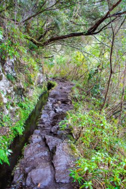 Levada Caldeiro do verde ve Caldeiro Inferno, Madeira Adası