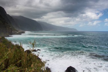 Madeira Adası çiçek açan çiçekler güzel okyanus ve dağ, yatay. Ponta de Sao Jorge göster. Doğa manzara.