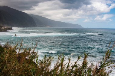 Madeira Adası çiçek açan çiçekler güzel okyanus ve dağ, yatay. Ponta de Sao Jorge göster. Doğa manzara.