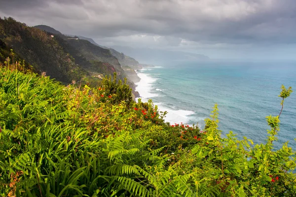 Beautiful Ocean and mountain landscape with blooming flowers in Madeira island. View from Ponta de Sao Jorge. Nature landscape.