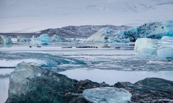 Jokulsarlon 冰川湖在冰岛在冬天 美丽冰冷的风景 — 图库照片