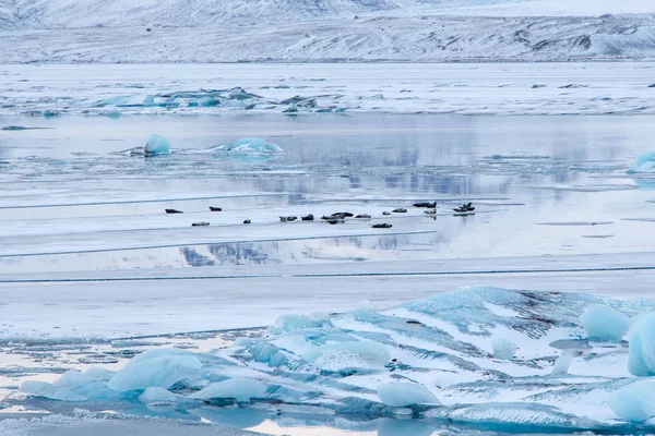 Lago Glaciar Jokulsarlon Islândia Inverno Bela Paisagem Gelada — Fotografia de Stock
