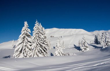 Çam ağaçları küçük bir ahşap ev, Dolomites mavi gökyüzü karşı şiddetli kar yağışı kapsadığı. Barış ve traquility kavramı. Kış sahne.