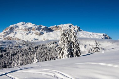Çam ağaçları küçük bir ahşap ev, Dolomites mavi gökyüzü karşı şiddetli kar yağışı kapsadığı. Barış ve traquility kavramı. Kış sahne.