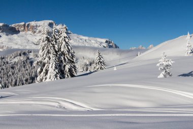 Kar çam ağaçları şapkalı, mavi gökyüzü karşı şiddetli kar yağışı tarafından küçük bir ahşap ev, Dolomites kaplı. Barış ve traquility kavramı. Kış sahne.