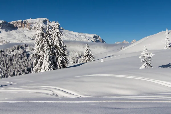 Schneebedeckte Kiefern Vor Blauem Himmel Ein Kleines Holzhaus Dolomiten Konzept — Stockfoto