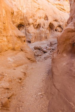 Timna parkta küçük Kanyon, Negev çöl, Israil. Eilat 'dan gün gezisi.