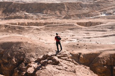 Backpacker negev çölde görünümü hayran kayalık, Timna park, İsrail