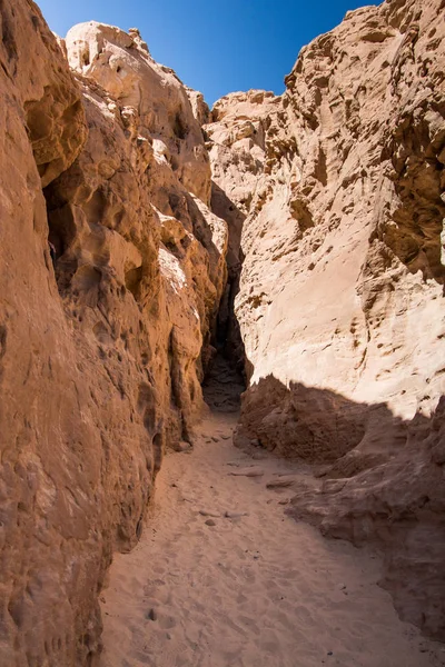 Petit Canyon Dans Parc Timna Désert Néguev Israël Excursion Une — Photo