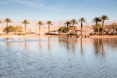 Timna Vadisi vaha Gölü, Eilat, İsrail yakınındaki